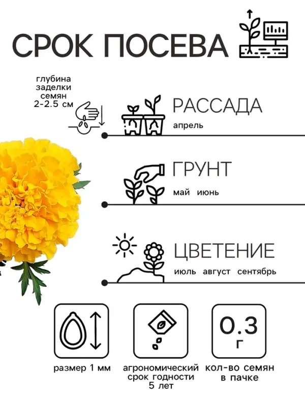Семена цветов Бархатцы прямостоячие "Лимонное чудо", 0,3 г