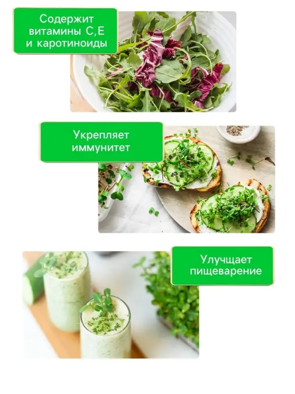 Семена Кресс-салат "Весенний", 1 г