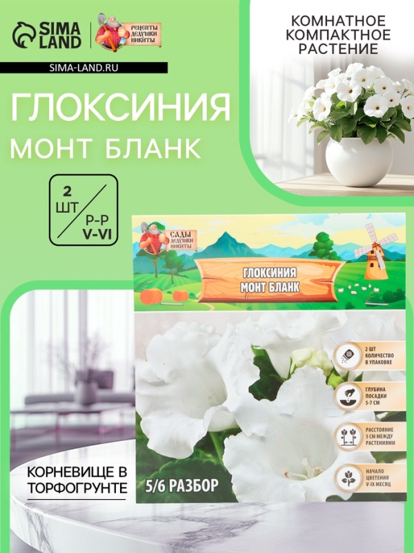 Глоксиния &laquo;Монт Бланк&raquo;, многолетник, комнатный, луковица в пакете с перфорацией, р-р 5/6, 2 шт.