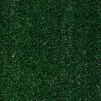 Газон искусственный, ворс 10 мм, 1 &times; 2 м, зелёный, Greengo