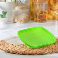 Набор пищевых контейнеров &laquo;BioFresh&raquo;, 4 шт: 500 мл, 1 л, 1,6 л, 2,3 л, прозрачные, крышки микс