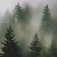 Пакет подарочный крафтовый &laquo;Туманный лес&raquo; 18&times;8&times;25 см, 120 г/м&sup2;