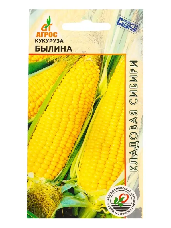 Семена Кукуруза "Былина" 2 г