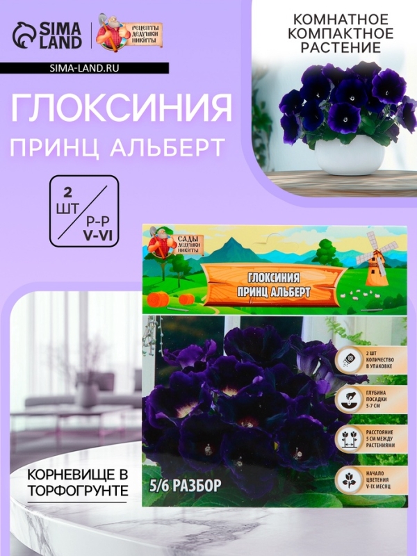 Глоксиния &laquo;Принц Альберт&raquo;, многолетник, комнатный, луковица в пакете с перфорацией, р-р 5/6, 2 шт.