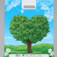 Пакет "Признание, полиэтиленовый с вырубной ручкой 38х47 см, 60 мкм