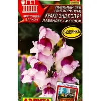 Семена цветов Львиный зев Кракл энд поп F1 лавендер биколор С. Floranova Цветущий балкон, Ц/П,7 шт.