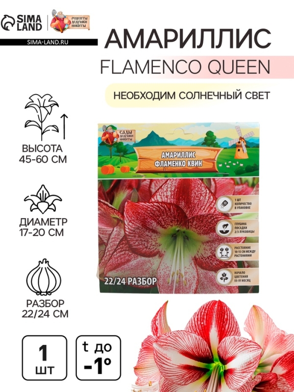 Амариллис Flamenco Queen, многолетник, луковица, р-р 22/24, 1 шт.