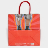 Пакет подарочный, упаковка, &laquo;Герой&raquo;, 22 х 22 х 11 см