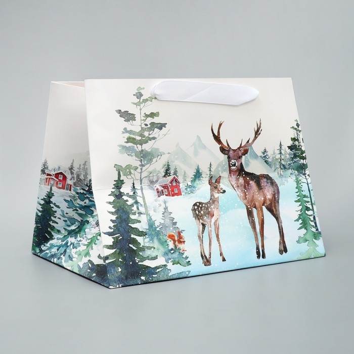 Пакет подарочный новогодний с широким дном &laquo;Новогодние чудеса&raquo;, 25 х 19 х 18 см, Новый год