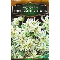 Семена цветов Молочай Горный хрусталь  Золотая серия, Ц/П,20 шт.