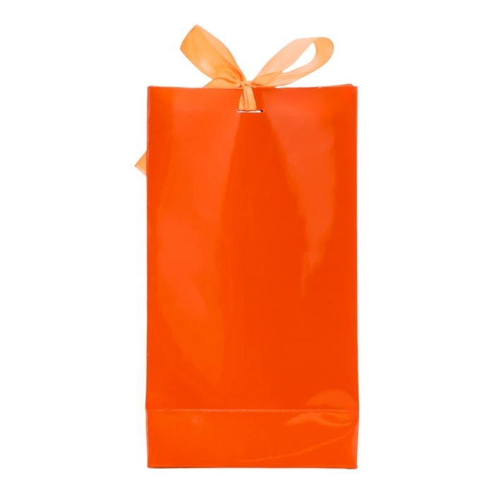 Пакет подарочный с лентой &laquo;Красный&raquo; 13 х 23 х 7 см, 1 шт.