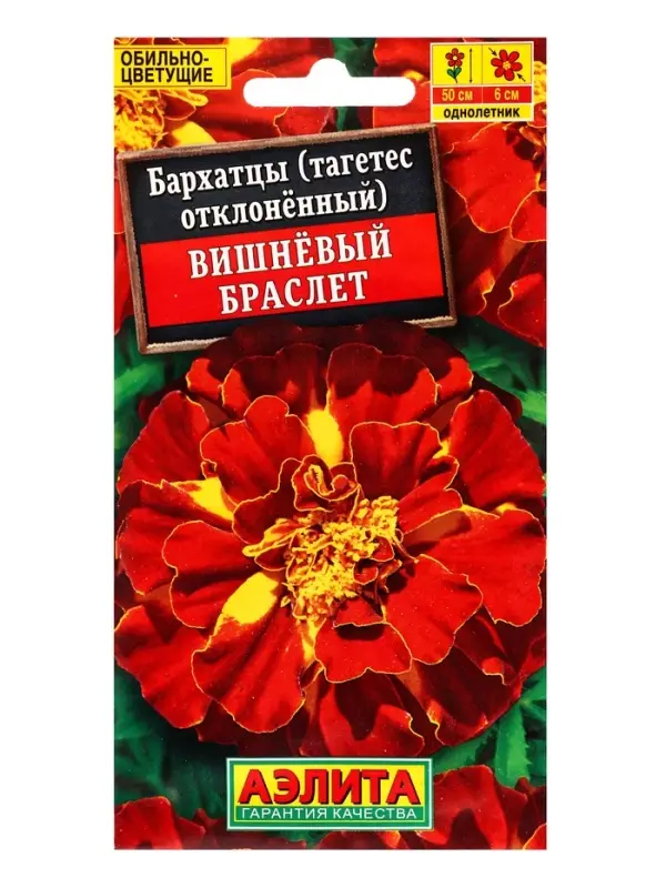 Семена цветов Бархатцы Вишневый браслет , Ц/П,0,3 г