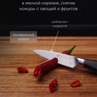 Набор кухонных ножей из 3 предметов PRO collection 3SS