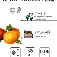 Семена Лук репчатый "Штуттгартер Ризен", 0,05 г