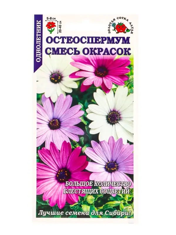 Семена Остеоспермум смесь /Сотка/ 0,1г/ h-40см, d-8см/*1200