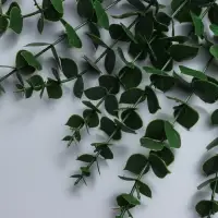 Декоративная ветка &laquo;Эвкалипт&raquo;, 39 &times; 4,5 &times; 4,5 см