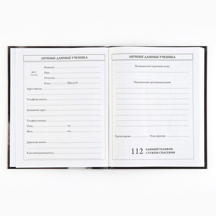 Дневник школьный 5-11 класс, в твердой обложке, 48 л. &laquo;Кошка&raquo;