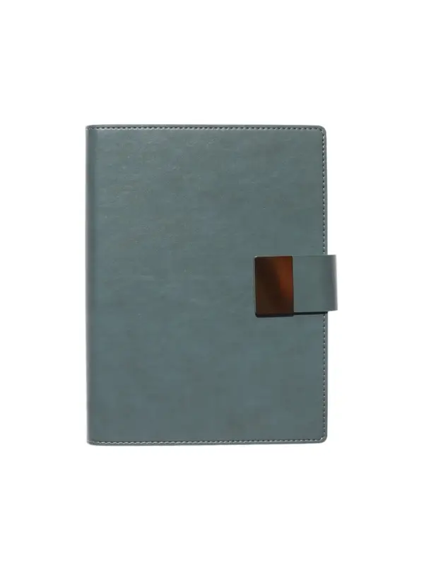 Органайзер на кольцах, А5, с хлястиком, 80л, линия, к/зам, Зеленый