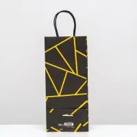 Пакет крафт под бутылку &laquo;Геометрия&raquo;, 14&times;8&times;32 см