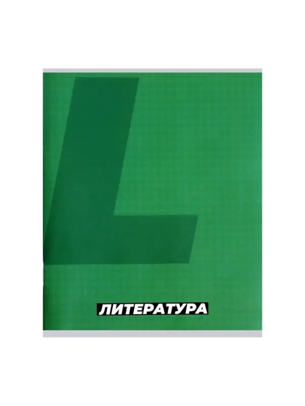 Предметная тетрадь по литературе Calligrata. MonoTone, 36 листов, в линейку, со справочным материалом, обложка из мелованной бумаги