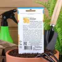 Набор семян Кабачок "ОРЕХОВЫЙ", 5 шт.