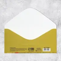 Конверт для денег &laquo;Поздравляю&raquo;, 16.5&times;8 см