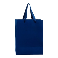 Пакет ламинированный &laquo;Синий&raquo;, 18 х 23 х 10 см