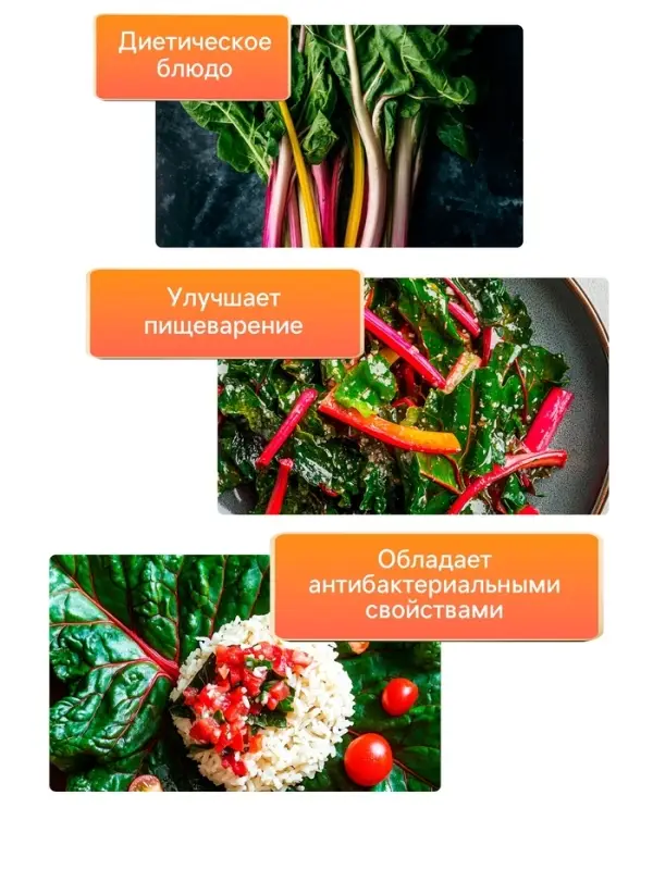 Семена Мангольд "Павлиний хвост", смесь, 1 г