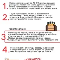 Семена Лук репчатый &laquo;Красный&raquo;, 0.3 г