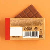 Шоколад молочный &laquo;Суетолог&raquo;, 27 г.