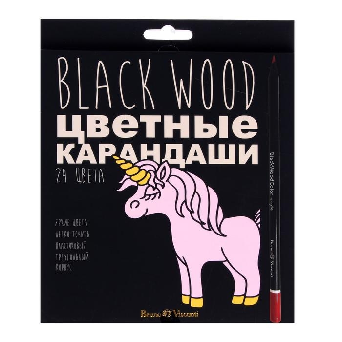 Карандаши 24 цвета BlackWoodColor, пластиковые, трёхгранные, МИКС