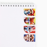 Новый год. Магнитные закладки &laquo;Новогодние пушистики&raquo;, 4 шт мини