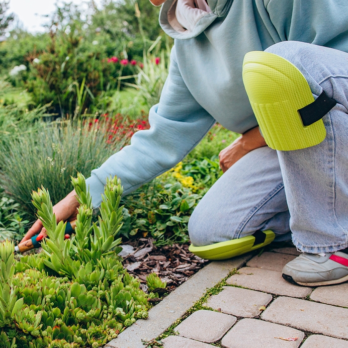 Наколенники защитные, универсальные, 17 &times; 13 см, зелёные, Greengo