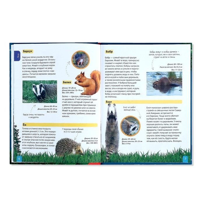 Детская энциклопедия в твёрдом переплёте &laquo;Животные&raquo;, 48 стр.