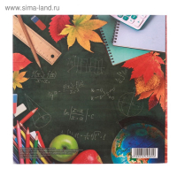 Фотоальбом &laquo;Школьные годы&raquo; 150 фото