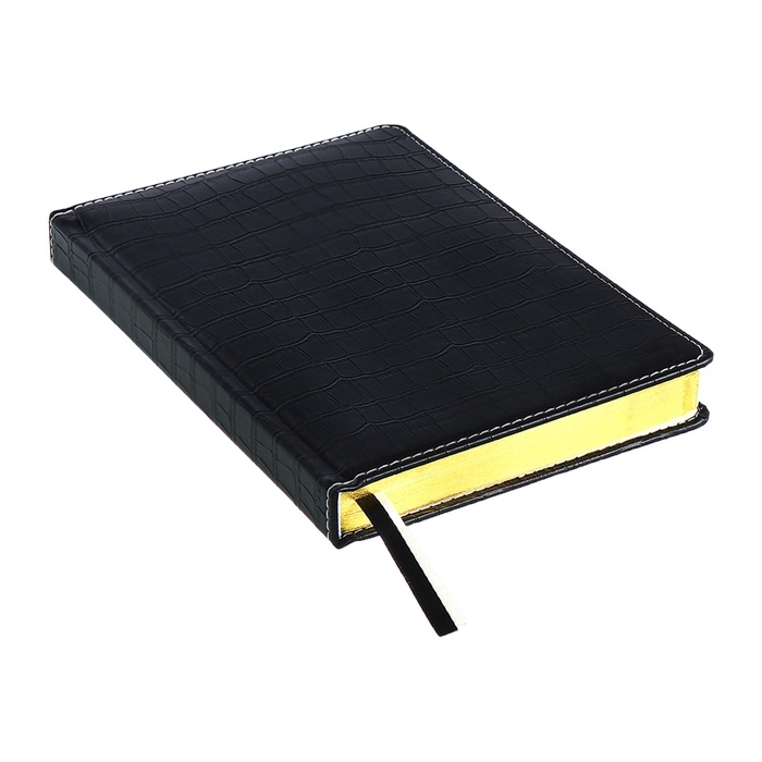 Ежедневник датированный 2024 A5 176 листов, deVENTE.Wild, твёрдая обложка из искусственной кожи, золотой срез, ляссе, кремовый блок 70 г/м2, чёрный