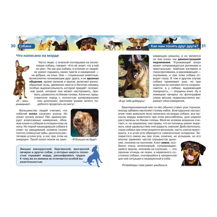 Детская энциклопедия &laquo;Собаки&raquo;