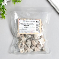 Ракушки декоративные "Zlatka" 100 г &plusmn; 7 г , 2.5 см