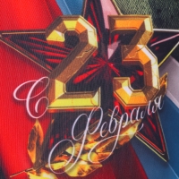 Подушка антистресс декоративная &laquo;С 23 февраля&raquo;, 21 х 20 см