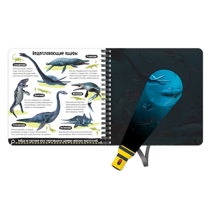 Секретная книга с волшебным фонариком &laquo;Диноленд&raquo;, 22 стр.