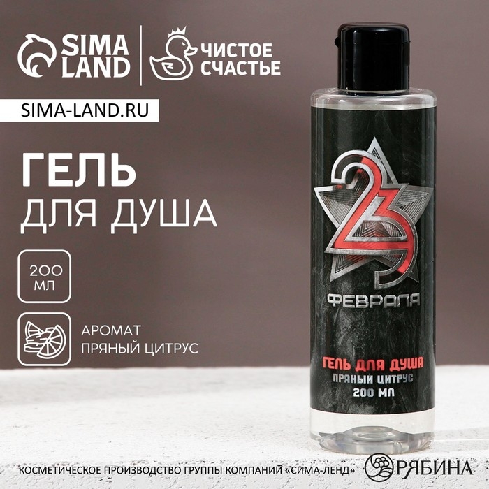 Гель для душа &laquo;С 23 Февраля!&raquo;, 200 мл, аромат пряного цитруса, HARD LINE