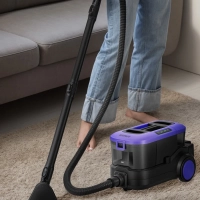 Моющий пылесос для ковров и мягкой мебели КТ-5246 - 800 Вт