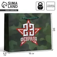 Пакет подарочный ламинированный, упаковка, &laquo;С 23 февраля&raquo;, S 15 х 12 х 5.5 см
