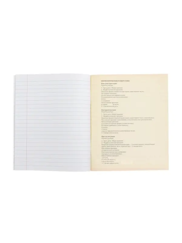 Тетрадь предметная 48 листов в линию, Calligrata &laquo;Доска. Русский язык&raquo;, обложка мелованный картон