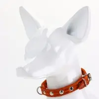 Ошейник кожаный однослойный украшенный, 1,2 см, ОШ 20-26 см микс цветов