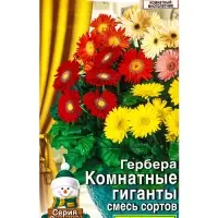 Семена цветов Гербера Комнатные гиганты, смесь сортов Мн Зимний сад, Ц/П,0,04 г