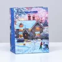 Пакет подарочный "Предновогодний вечер", 11,5 х 14,5 х 6,5 см.