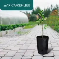 Пакет для рассады, 1,5 л, d = 13 см, h = 18 см, полиэтилен, чёрный, Greengo