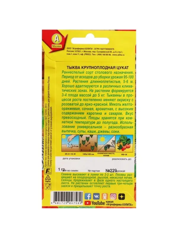 Набор семян Тыква крупноплодная "Цукат",  5 шт.