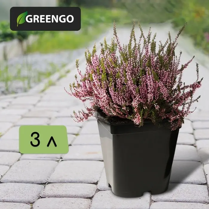 Горшок для рассады, 3 л, d=16 см, h=16 см, чёрный, Greengo